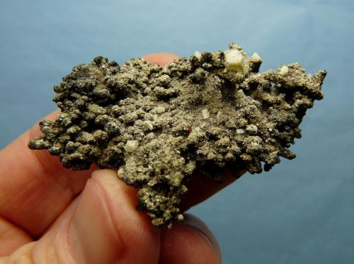 Gaudefroyite, Andradite and Ettringite<br />Wessels Mine, Hotazel, Kalahari manganese field (KMF), Northern Cape Province, South Africa<br />57 x 38 x 17 mm<br /> (Author: Pierre Joubert)