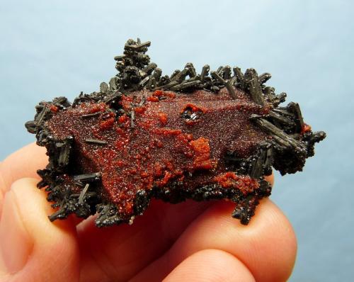 Gaudefroyite, Andradite and Ettringite<br />Wessels Mine, Hotazel, Kalahari manganese field (KMF), Northern Cape Province, South Africa<br />57 x 38 x 17 mm<br /> (Author: Pierre Joubert)