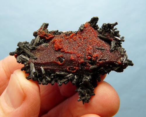 Gaudefroyite, Andradite and Ettringite<br />Wessels Mine, Hotazel, Kalahari manganese field (KMF), Northern Cape Province, South Africa<br />57 x 38 x 17 mm<br /> (Author: Pierre Joubert)