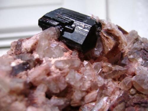 Tourmaline, Quartz, Muscovite and Microcline<br />Belvís de Monroy, Comarca Campo Arañuelo, Cáceres, Extremadura, España<br />Tourmaline crystal = 3 x 2 cm.<br /> (Author: ApitaAngel)