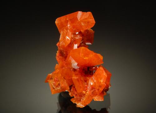 Wulfenite<br />Red Cloud Mine, Trigo Mountains, Silver District, La Paz County, Arizona, USA<br />2.2 cm<br /> (Author: crosstimber)