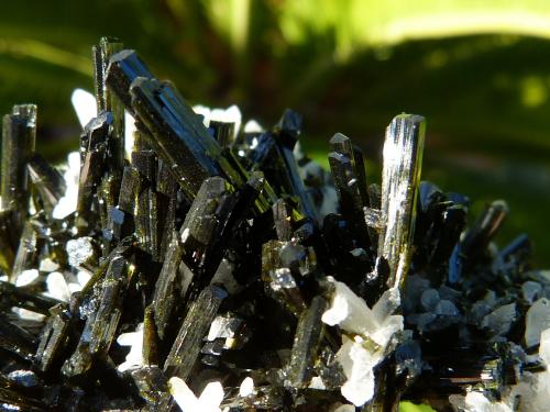 Epidota sobre cuarzo<br />Concesión Flor de Perú, Monte Ullpac, Distrito Huancano, Provincia Pisco, Departamento Ica, Perú<br />7 x 5 cm<br /> (Autor: nerofis2)