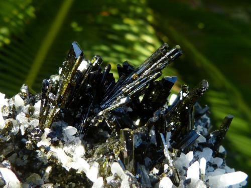 Epidota sobre cuarzo<br />Concesión Flor de Perú, Monte Ullpac, Distrito Huancano, Provincia Pisco, Departamento Ica, Perú<br />7 x 5 cm<br /> (Autor: nerofis2)