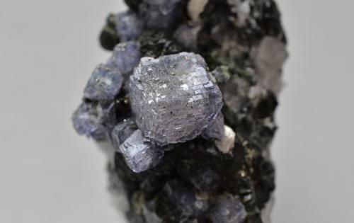 Fluorita<br />Minas da Panasqueira, Aldeia de São Francisco de Assis, Covilhã, Castelo Branco, Cova da Beira, Centro, Portugal<br />6,8 x 3,7 x 3,5 cm<br /> (Autor: Raul S. Llorente)
