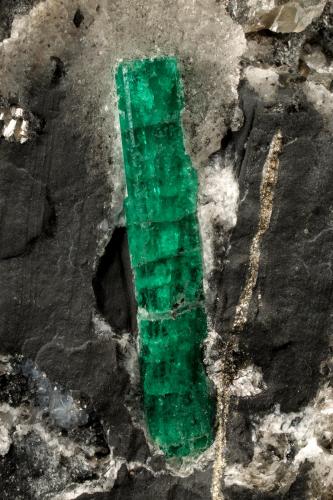 Beryl (variety emerald), Calcite, Pyrite<br />Muzo mining district, Western Emerald Belt, Boyacá Department, Colombia<br />64x55x65mm, xl=27mm<br /> (Author: Fiebre Verde)