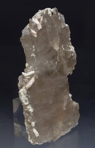 Cuarzo (variedad cuarzo ahumado) con Feldespato<br />La Roca del Vallès, Comarca Vallès Oriental, Barcelona, Cataluña / Catalunya, España<br />10.4 × 6.2 × 1.1 cm<br /> (Autor: Jordi Fabre)
