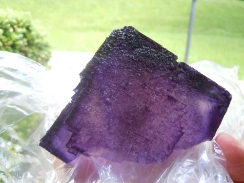 Fluorite<br />Elmwood Mine, Carthage, Central Tennessee Ba-F-Pb-Zn District, Smith County, Tennessee, USA<br />10.8 x 8.9 x 7.6 cm<br /> (Author: Casimir Sarisky)