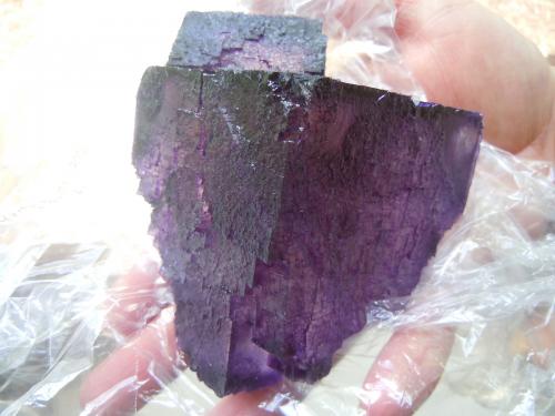 Fluorite<br />Elmwood Mine, Carthage, Central Tennessee Ba-F-Pb-Zn District, Smith County, Tennessee, USA<br />10.8 x 8.9 x 7.6 cm<br /> (Author: Casimir Sarisky)