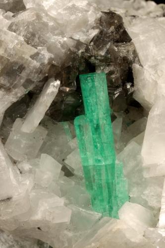 Beryl (variety emerald), Calcite<br />Coscuez mining district, Municipio San Pablo de Borbur, Western Emerald Belt, Boyacá Department, Colombia<br />51x46x46mm, cluster=20mm<br /> (Author: Fiebre Verde)