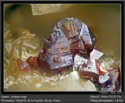 Anatase<br />Vallon de la Valette, La Lauzière Massif, Saint-Jean-de-Maurienne, Savoie, Auvergne-Rhône-Alpes, France<br />fov 1.8 mm<br /> (Author: ploum)