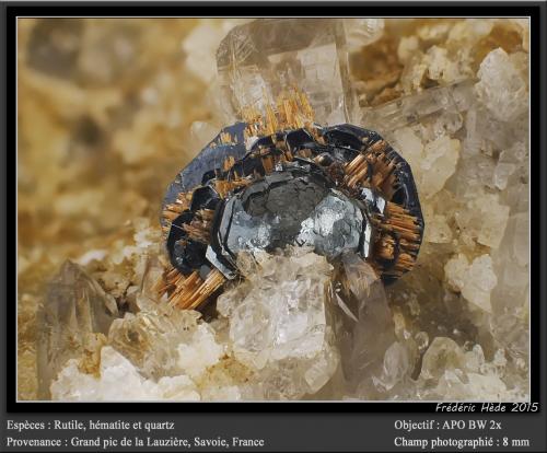 Hematite and Rutile<br />La Lauzière Massif, Saint-Jean-de-Maurienne, Savoie, Auvergne-Rhône-Alpes, France<br />fov 8mm<br /> (Author: ploum)