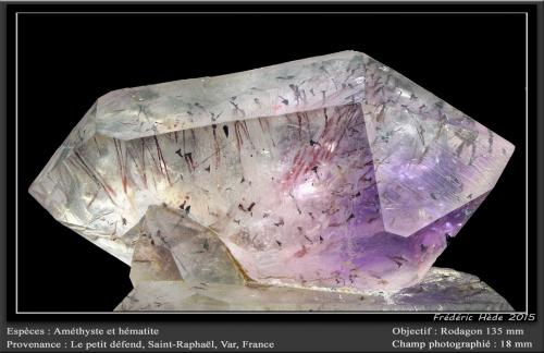 Quartz (variety amethyst) with Hematite inclusions<br />Le Petit Défend, Saint Raphael, Draguignan, Var, Provence-Alpes-Côte d'Azur, France<br />fov 18 mm<br /> (Author: ploum)