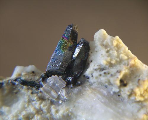 Hematites<br />Cerro de la Sal, El Pinós/Pinoso, Comarca Vinalopó Medio, Alicante / Alacant, Comunidad Valenciana / Comunitat Valenciana, España<br />Cristales de 10 mm.<br /> (Autor: Jose Luis Jara)