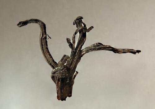 Silver<br />Yueshan, Huangtun, Lujiang, Prefectura Hefei, Provincia Anhui, China<br />2.3 x 3.2 cm<br /> (Author: crosstimber)