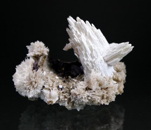 Calcite, Strontianite<br />Denton Mine, Rosiclare level, Goose Creek Mine group, Harris Creek Sub-District, Hardin County, Illinois, USA<br />7 x 4 cm<br /> (Author: Don Lum)