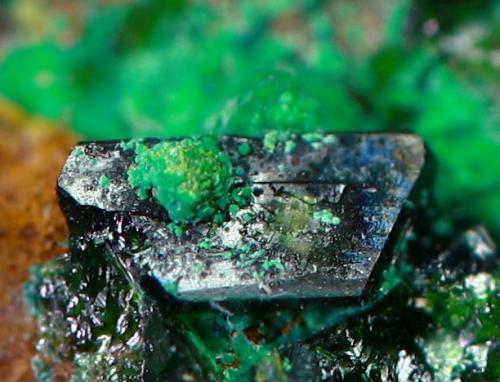 Libethenita<br />Novísimo San Fernando Mine, Cortijo Traslasierra, Oliva de Mérida, Comarca Tierra de Mérida-Vegas Bajas, Badajoz, Extremadura, Spain<br />Encuadre: 6 mm<br /> (Autor: Manuel Mesa)