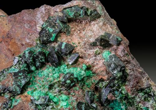 Libethenita<br />Novísimo San Fernando Mine, Cortijo Traslasierra, Oliva de Mérida, Comarca Tierra de Mérida-Vegas Bajas, Badajoz, Extremadura, Spain<br />Cristales de hasta 4 mm<br /> (Autor: Manuel Mesa)