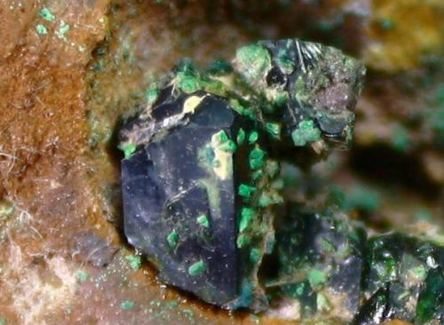 Libethenita<br />Novísimo San Fernando Mine, Cortijo Traslasierra, Oliva de Mérida, Comarca Tierra de Mérida-Vegas Bajas, Badajoz, Extremadura, Spain<br />Cristal: 8 mm<br /> (Autor: Manuel Mesa)