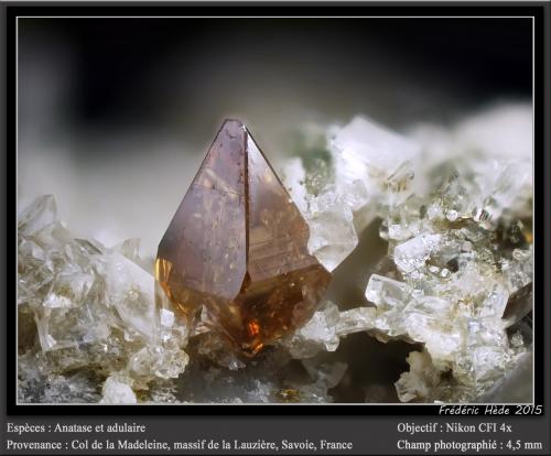 Anatase on Adularia<br />Macizo La Lauzière, Saint-Jean-de-Maurienne, Saboya, Auvergne-Rhône-Alpes, Francia<br />fov 4.5 mm<br /> (Author: ploum)