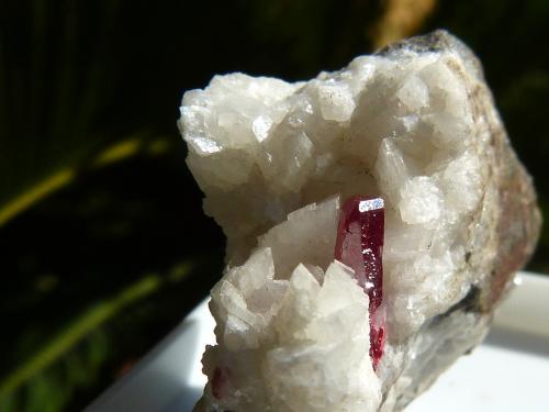 Cinabrio sobre Dolomita<br />Mina Tongren, Tongren, Prefectura Tongren, Provincia Guizhou, China<br />Cristal de 9 mm<br /> (Autor: nerofis2)