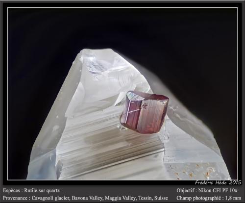 Rutile on Quartz<br />Cavagnoli Glacier area, Bavona Valley, Maggia Valley, Ticino (Tessin), Switzerland<br />fov 1.8 mm<br /> (Author: ploum)