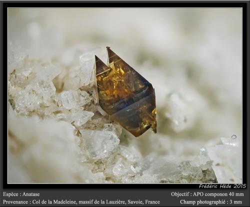 Anatase<br />Col de la Madeleine, Macizo La Lauzière, Saint-Jean-de-Maurienne, Saboya, Auvergne-Rhône-Alpes, Francia<br />fov 3 mm<br /> (Author: ploum)