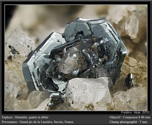 Hematite, Quartz and Albite<br />Grand Pic de la Lauzière, La Lauzière Massif, Saint-Jean-de-Maurienne, Savoie, Auvergne-Rhône-Alpes, France<br />fov 7 mm<br /> (Author: ploum)