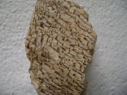 Pegmatita gráfica<br />Afloramiento de pegmatitas, Pantano de Valdecañas, Belvís de Monroy, Comarca Campo Arañuelo, Cáceres, Extremadura, Spain<br />7 x 4 x 3 cm.<br /> (Autor: P. apita)