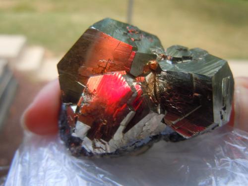 Pyrite on Hematite<br />Rio Marina, Elba Island, Livorno Province, Tuscany, Italy<br />5.1 x 5.1 cm<br /> (Author: Casimir Sarisky)