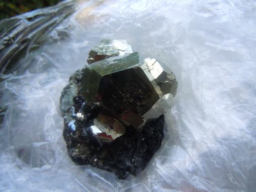 Pyrite on Hematite<br />Rio Marina, Elba Island, Livorno Province, Tuscany, Italy<br />5.1 x 5.1 cm<br /> (Author: Casimir Sarisky)