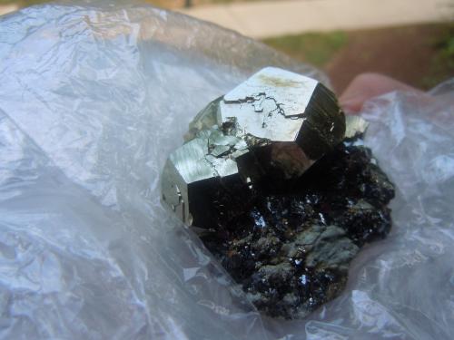 Pyrite on Hematite<br />Rio Marina, Elba Island, Livorno Province, Tuscany, Italy<br />5.1 x 5.1 cm<br /> (Author: Casimir Sarisky)