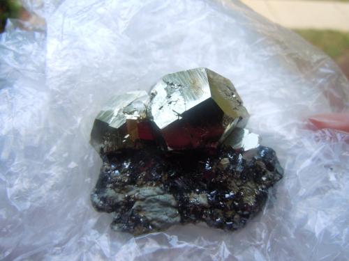 Pyrite on Hematite<br />Rio Marina, Elba Island, Livorno Province, Tuscany, Italy<br />5.1 x 5.1 cm<br /> (Author: Casimir Sarisky)