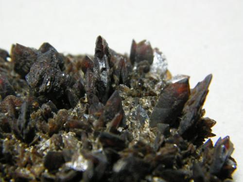 Descloizite<br />Berg Aukas, Grootfontein District, Otjozondjupa Region, Namibia<br />55x50mm<br /> (Author: Heimo Hellwig)