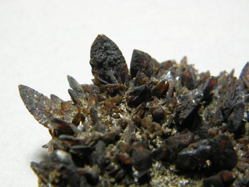Descloizite<br />Berg Aukas, Distrito Grootfontein, Región Otjozondjupa, Namibia<br />55x50mm<br /> (Author: Heimo Hellwig)