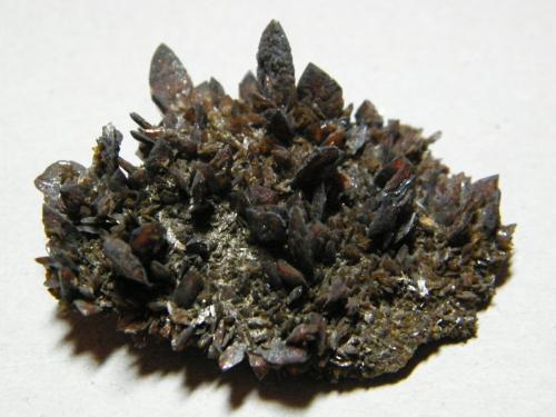 Descloizite<br />Berg Aukas, Grootfontein District, Otjozondjupa Region, Namibia<br />55x50mm<br /> (Author: Heimo Hellwig)