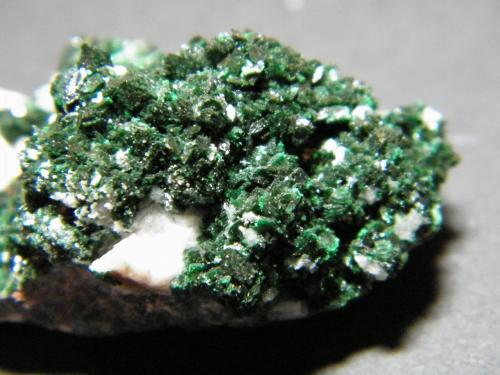 Brochantite<br />Tsumeb Mine, Tsumeb, Otjikoto Region, Namibia<br />45x25mm<br /> (Author: Heimo Hellwig)