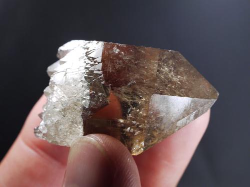 Quartz<br />Aiguille de Talèfre, Mont Blanc, Chamonix, Haute-Savoie, Auvergne-Rhône-Alpes, Francia<br />fov  5 cm<br /> (Author: ploum)