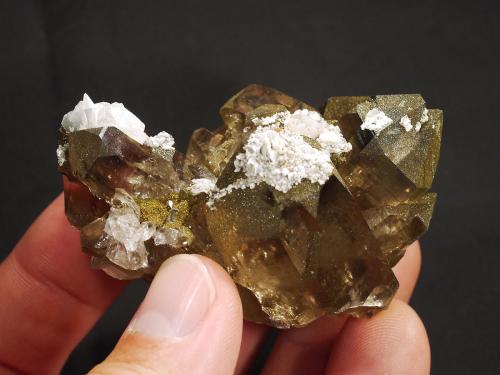 Quartz and Calcite<br />Aiguille de Talèfre, Mont Blanc Massif, Chamonix, Haute-Savoie, Auvergne-Rhône-Alpes, France<br />fov 5 cm<br /> (Author: ploum)