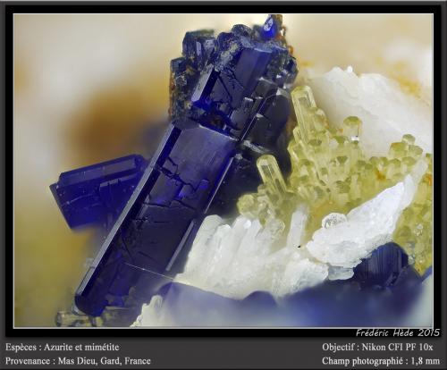 Azurite and mimetite<br />Mas Dieu, Mercoirol, Alès, Gard, Occitanie, France<br />fov 1.8 mm<br /> (Author: ploum)