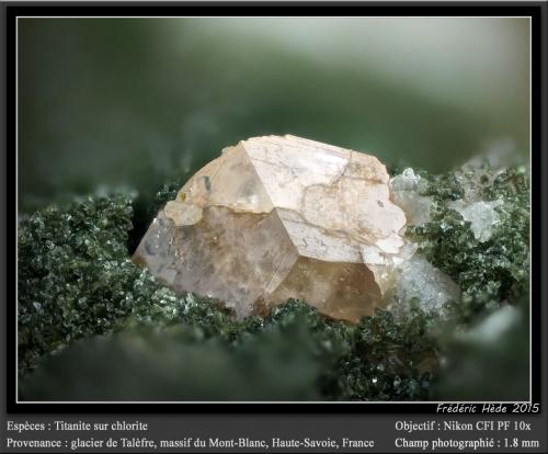 Titanite with Chlorite<br />Aiguille de Talèfre, Mont Blanc Massif, Chamonix, Haute-Savoie, Auvergne-Rhône-Alpes, France<br />fov 1.8 mm<br /> (Author: ploum)