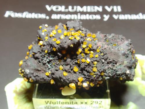 Wulfenita<br />Mina Whim Creek Copper, Arroyo Whim, Condado Roebourne, Australia Occidental, Australia<br />55x30 mm<br /> (Autor: Ignacio)