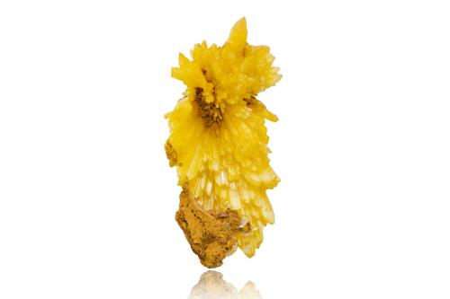 Legrandite<br />Mina Ojuela, Mapimí, Municipio Mapimí, Durango, México<br />5,5 x 3,0 x 3,0 cm<br /> (Author: MIM Museum)