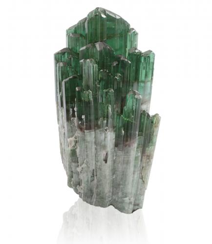Fluor-liddicoatite<br />Bevaondrano pegmatite, Ikalamavony District, Haute Matsiatra Region, Madagascar<br />7,0 x 6,5 x 14,0 cm<br /> (Author: MIM Museum)