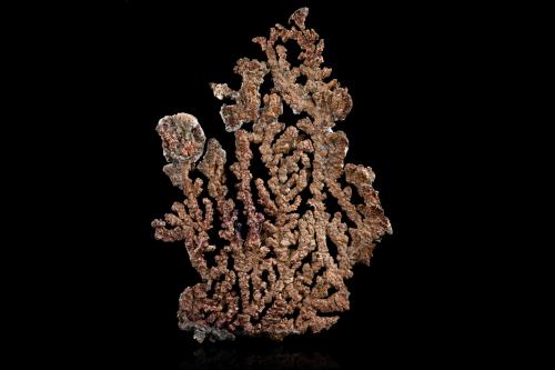 Luanheite<br />Los Bordos Mine, Elisa de Bordos mining area, Pabellón, Copiapó Province, Atacama Region, Chile<br />11,0	x	8,5	x	1,5	cm<br /> (Author: MIM Museum)