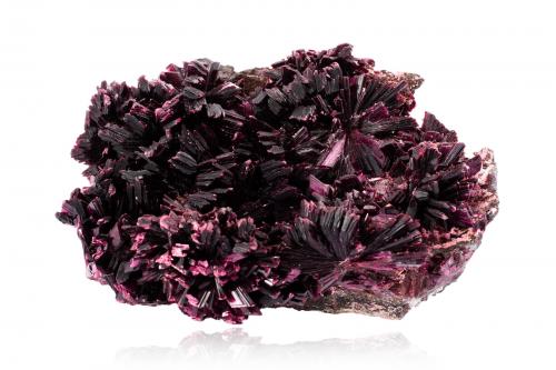 Erythrite<br />Distrito minero Bou Azzer, Región Drâa-Tafilalet, Marruecos<br />14,5 	x	11,5	x	6,5	cm<br /> (Author: MIM Museum)