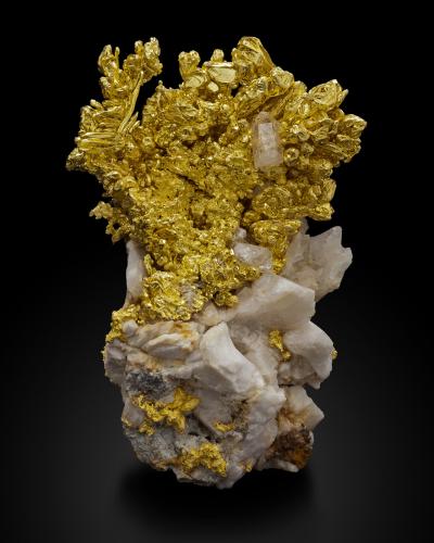 Gold on Quartz<br />Mockingbird Mine, Colorado area, Whitlock District, Mother Lode Belt, Mariposa County, California, USA<br />7,5	x	6,5	x	11,0	cm<br /> (Author: MIM Museum)