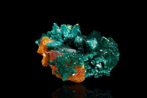 Dioptase on Wulfenite and with Azurite<br />M'Fouati, Distrito M'Fouati, Departamento Bouenza, República del Congo<br />4.0 x 4.0 x 5.0 cm<br /> (Author: MIM Museum)