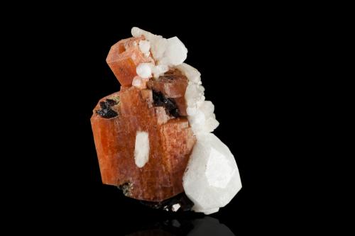 Serandite, Analcime, Natrolite and Neptunite<br />Poudrette Quarry, Mont Saint-Hilaire, La Vallée-du-Richelieu RCM, Montérégie, Québec, Canada<br />7.5 x 6.5 x 8.0 cm<br /> (Author: MIM Museum)