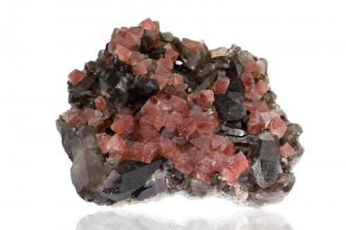 Fluorite on Quartz (variety smoky quartz)<br />Tour Noir Glacier, Bassin d'Argentière, Mont Blanc, Chamonix, Haute-Savoie, Auvergne-Rhône-Alpes, France<br />20,0 x 18,0 x 8,0 cm<br /> (Author: MIM Museum)