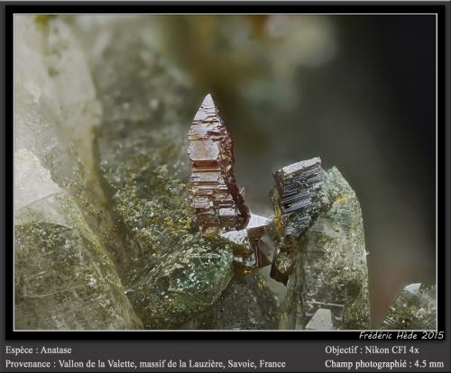 Anatase on Quartz<br />Vallon de la Valette, La Lauzière Massif, Saint-Jean-de-Maurienne, Savoie, Auvergne-Rhône-Alpes, France<br />fov 4.5 mm<br /> (Author: ploum)